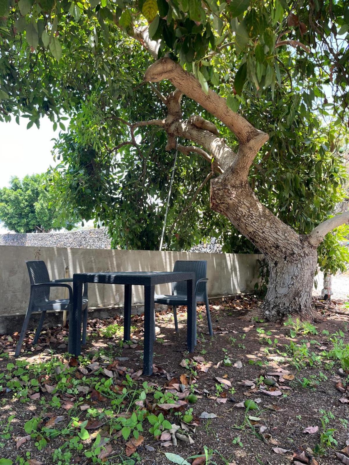 Fincaecoamaro Puerto de Santiago  Extérieur photo